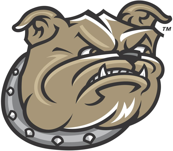 Bryant Bulldogs 2005-Pres Secondary Logo DIY iron on transfer (heat transfer)